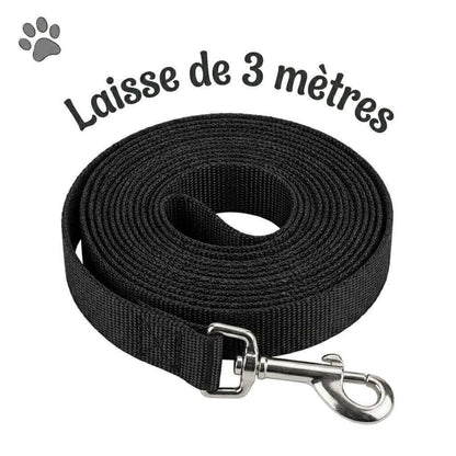 image de présentation d'un produit du kinkypupshop, la laisse en nylon de 3 mètres, là pour des sessions de petplay