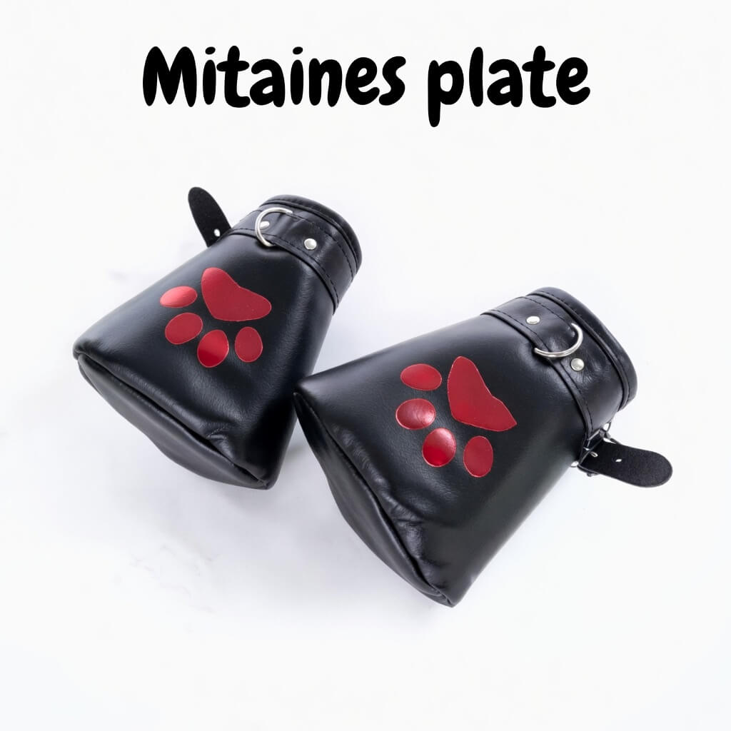 image de nos mitaines plate avec des pattes de chien rouge sur le cuir