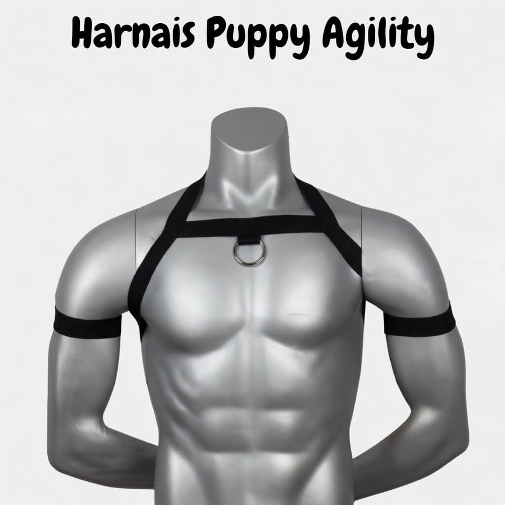 accessoire petplay, puppy agility vue de face