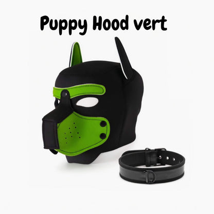 image d'un puppy hood de couleur verte avec son collier