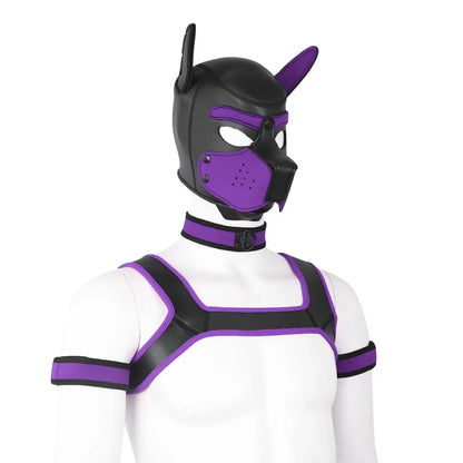 visuel du set puppy hood en gris du kinkypupshop, il y a un hood, un collier, un harnais et des brassard