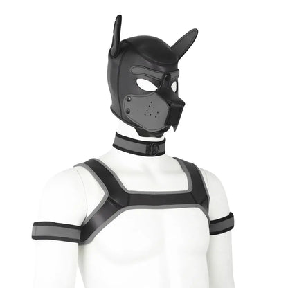 visuel du set puppy hood en gris du kinkypupshop, il y a un hood, un collier, un harnais et des brassard
