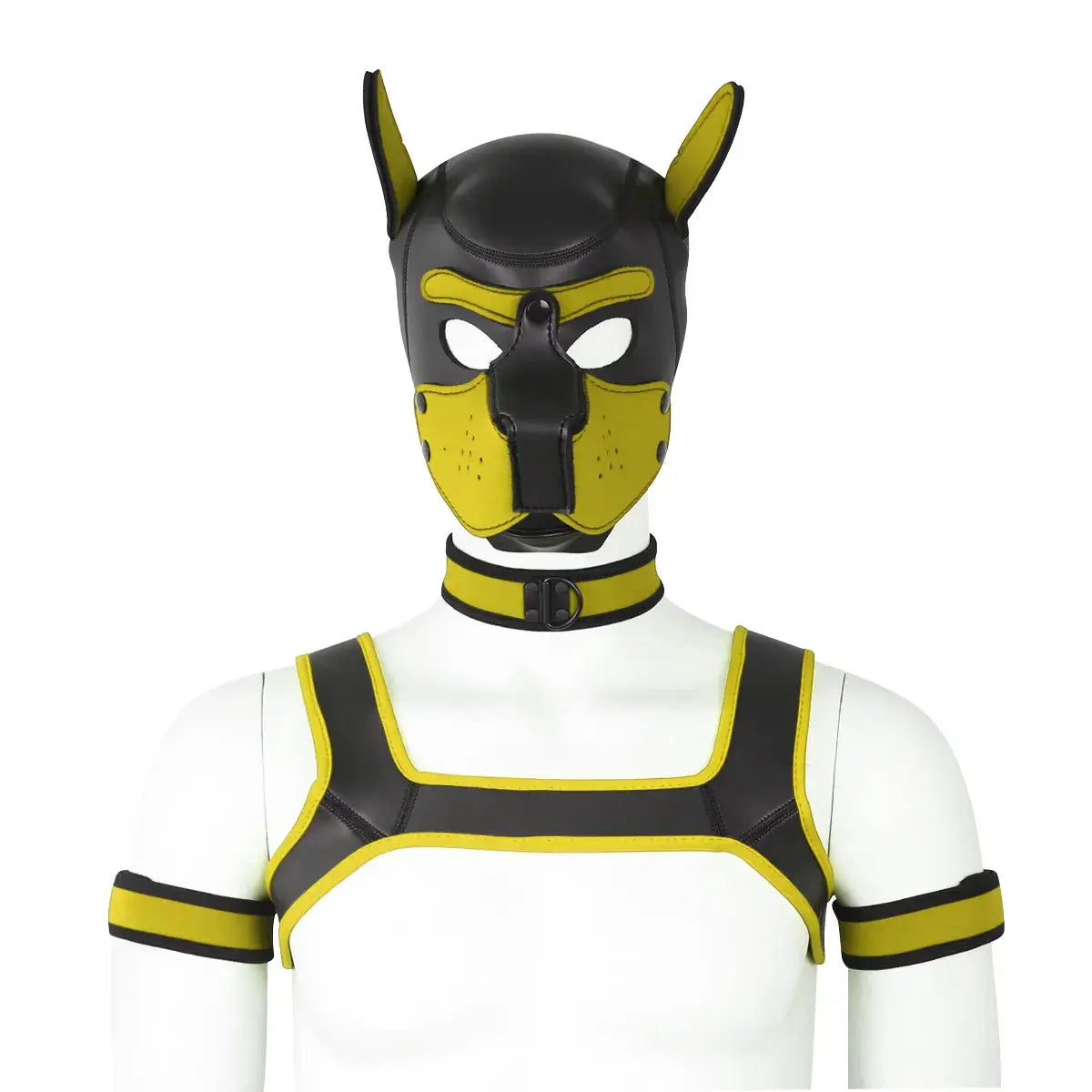 visuel du set puppy hood en jaune, avec collier, brassard, harnais et puppy hood