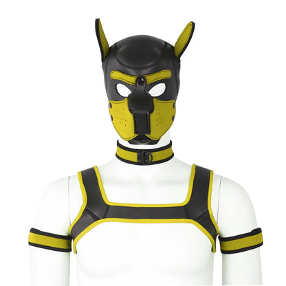 visuel du set puppy hood en jaune, avec collier, brassard, harnais et puppy hood