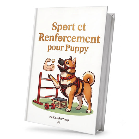 mockup du livre sport et renforcement pour puppy proposé sur le kinkypupshop