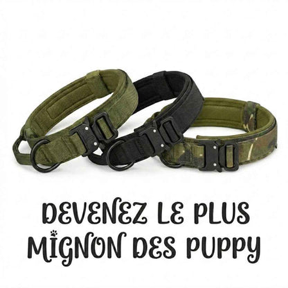 image montrant les 3 colliers puppyplay disponible sur le kinkypupshop, on voit les 3 couleurs