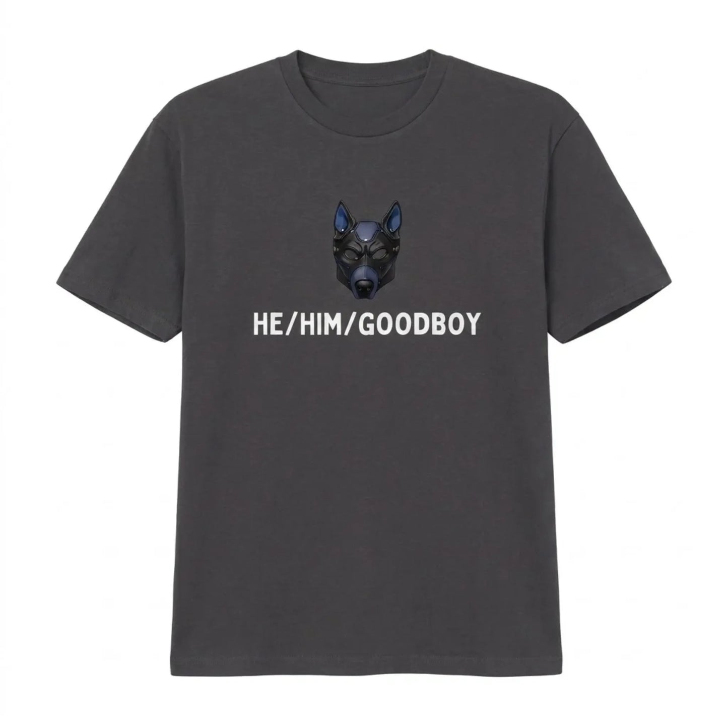 visuel du tshirt petplay goodboy en gris