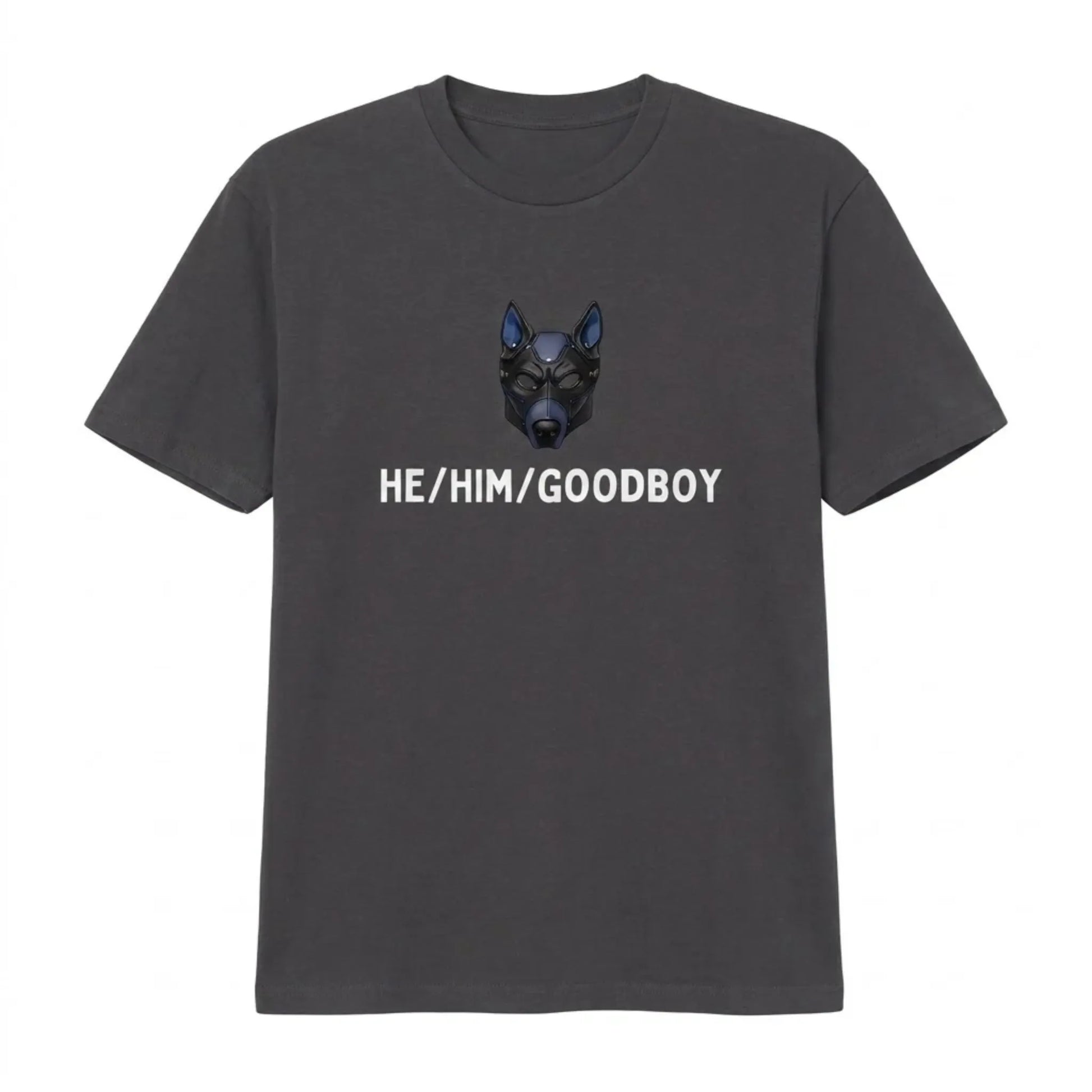 visuel du tshirt petplay goodboy en gris